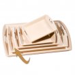 Serving tray nr 3 - model inclined side - 55 x 35 cm